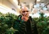 Mike Tyson gana millones vendiendo marihuana