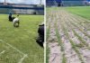 Ultiman detalles de la cancha del estadio Nacional para inicio del torneo Apertura