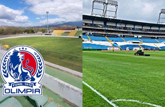 Olimpia canchas alternas