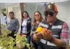 La Presidenta, Xiomara Castro impulsa el desarrollo de las «Cajas Productivas» en Ocotepeque