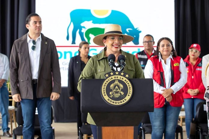 Imagen de WhatsApp 2023-09-11 a las 15.58.56