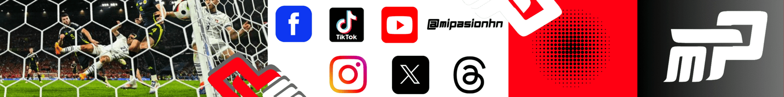 spot_img