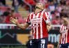 Chivas hace oficial la salida de “Chicharito” Hernández