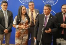 CNA destaca apertura del Congreso en temas de transparencia