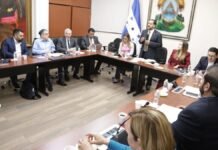 Comisión de Energía del CN inicia análisis técnico sobre crisis de la Enee