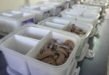 CN entrega prótesis auditivas a 35 niños y adultos de zona sur