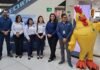 Mayor confort, balance y estabilidad Beneficios de las nuevas colecciones de sistemas de descanso que presenta El Gallo más Gallo
