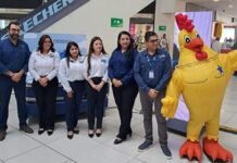 Mayor confort, balance y estabilidad Beneficios de las nuevas colecciones de sistemas de descanso que presenta El Gallo más Gallo
