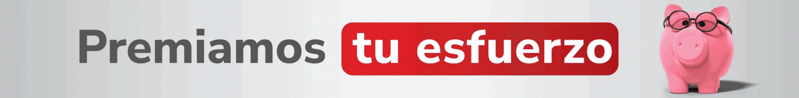 spot_img