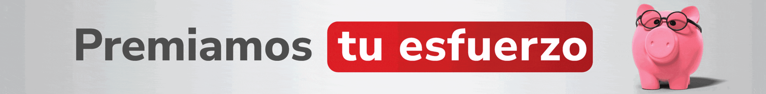 spot_img