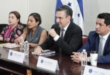 Comisión de Hidrocarburos del CN estudia creación de fondo para amortiguar alzas en combustibles