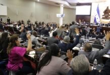 CN aprueba amnistía para regularizar armas de uso comercial