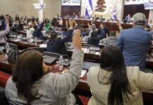 Poder Legislativo beneficia al sector productivo con aprobación de Ley de Alivio Financiero